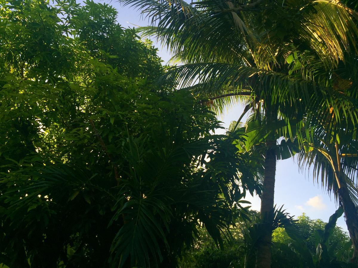 Yaad Hostel Montego Bay Exteriér fotografie